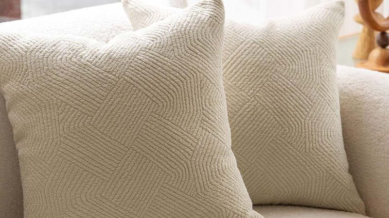 Pillow Perfection: Elevate Your Home Decor with Our Luxurious Throw Pillow Collection