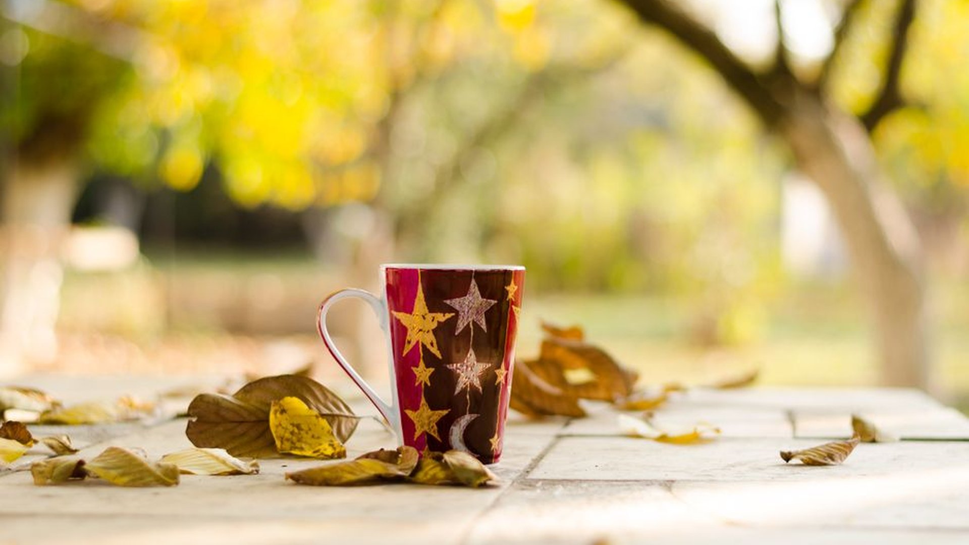 backyard sanctuary morning light coffee outdoor di
